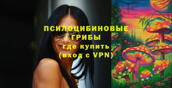 амфетамин Белокуриха